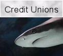 credit unions rollover 1 124x130