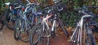 bikes