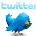 follow bitternepark.info on twitter