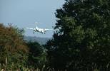 plane_near_trees.jpg