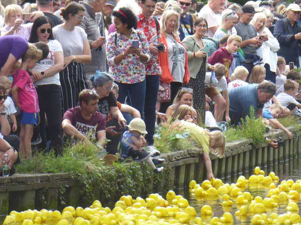 27 zoomed crowd with ducks 600px P1040648