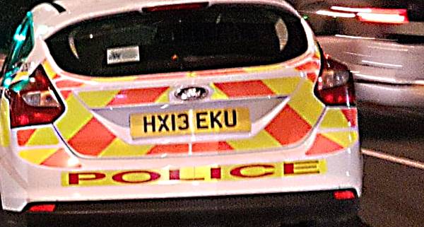 police car rear at night 600px